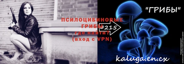 ПСИЛОЦИБИНОВЫЕ ГРИБЫ Абаза