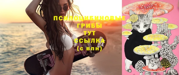 прущие грибы Алексин