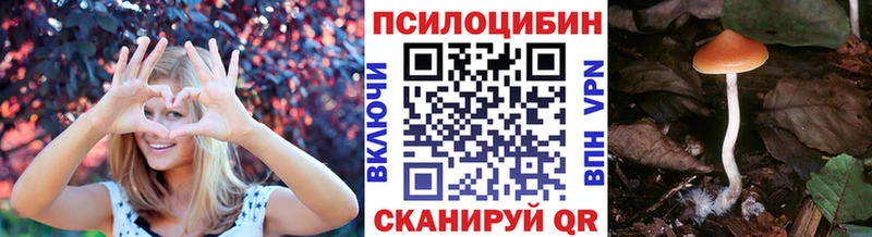 MEGA ONION  Опочка  Галлюциногенные грибы мухоморы 